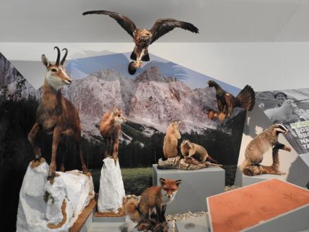 Na oglarskih dnevih v Gozdu Martuljku predstavili turistične zanimivosti Občine Razkrižje 35